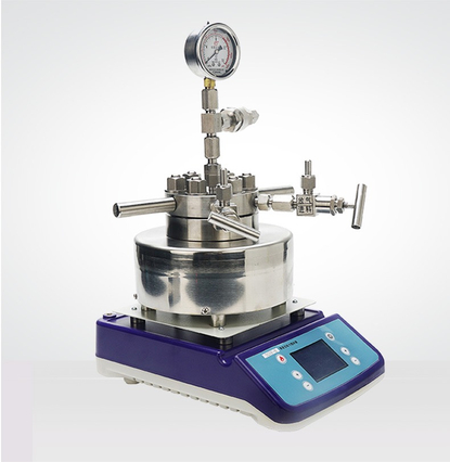 Lab High Pressure Stainless Steel Hydrothermal Synthesis Stirring Micro Autoclave Reactor 